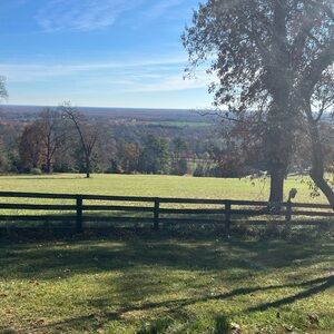 Meet your Posher, Mombie